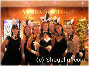 Pachas Pub magaluf